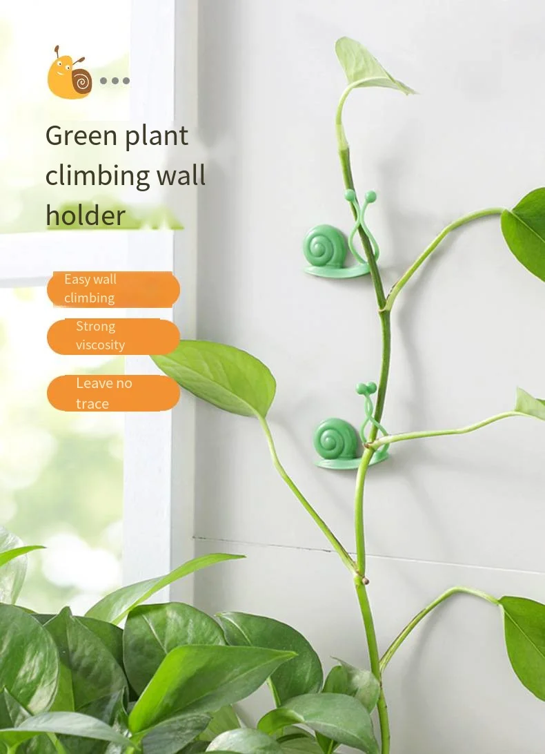 Green plant climbing clamp no trace card does not hurt the wall hook strong adhesive climbing cane supplier