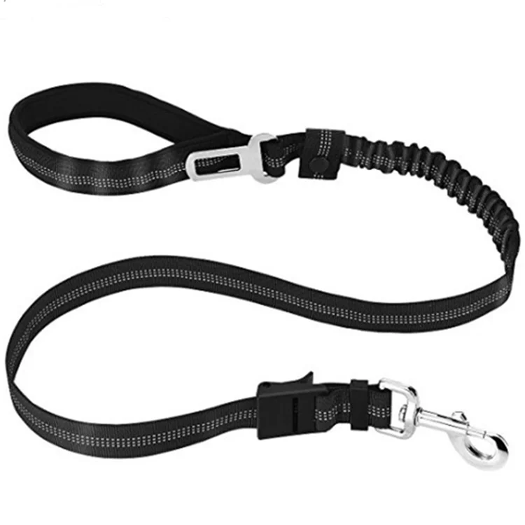bungee leash dog training