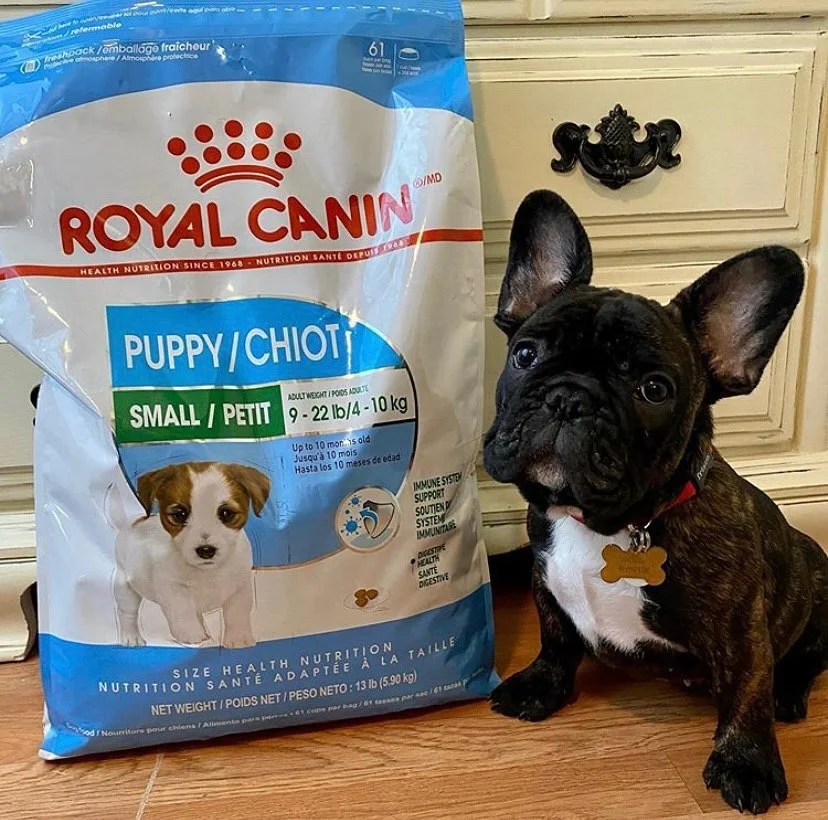 skelet Roos Stevig Royal Canin Small Puppy Dry Dog Food Dried For Dogs Wholesale Dry Dog  Treats - Buy Royal Canin Small Puppy Dry Dog Food,Royal Canin Small Puppy  Dry Dog Food (formerly Mini Puppy),Distributors