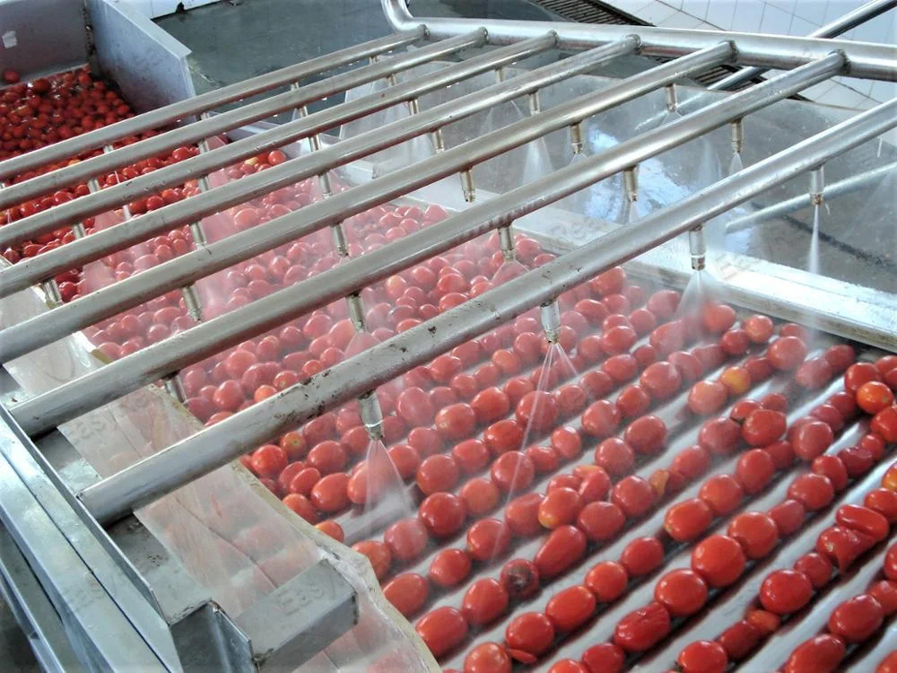 Small Scale Tomato Processing Machine Tomato Pulp Puree Sauce Making Production Line Ketchup Plant