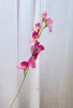Rosa oscuro