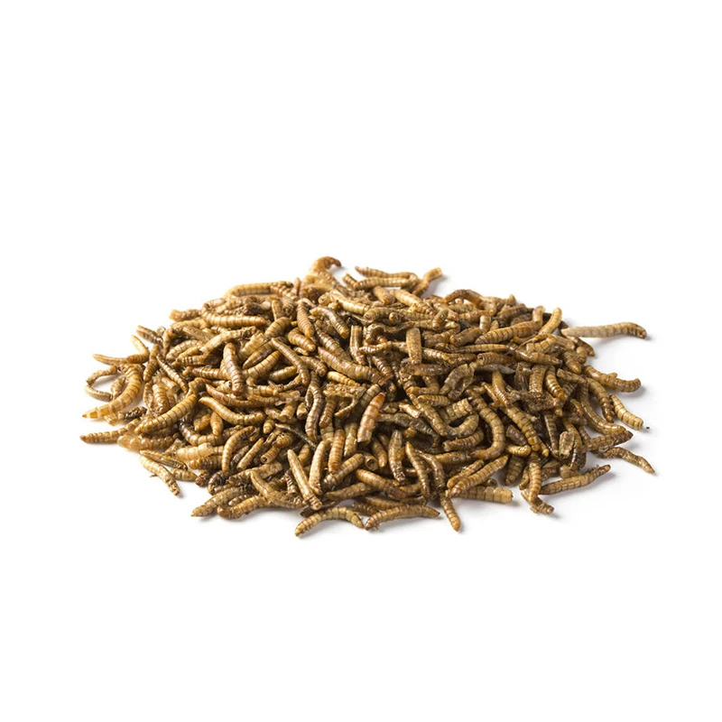 Direct Selling Ex-Factory Price Balanced Nutrition Breadworm Easy to Use Breadworm Dry Worm Suitable for All The Birds