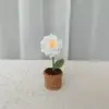 Blanco Una planta de gardenia en maceta