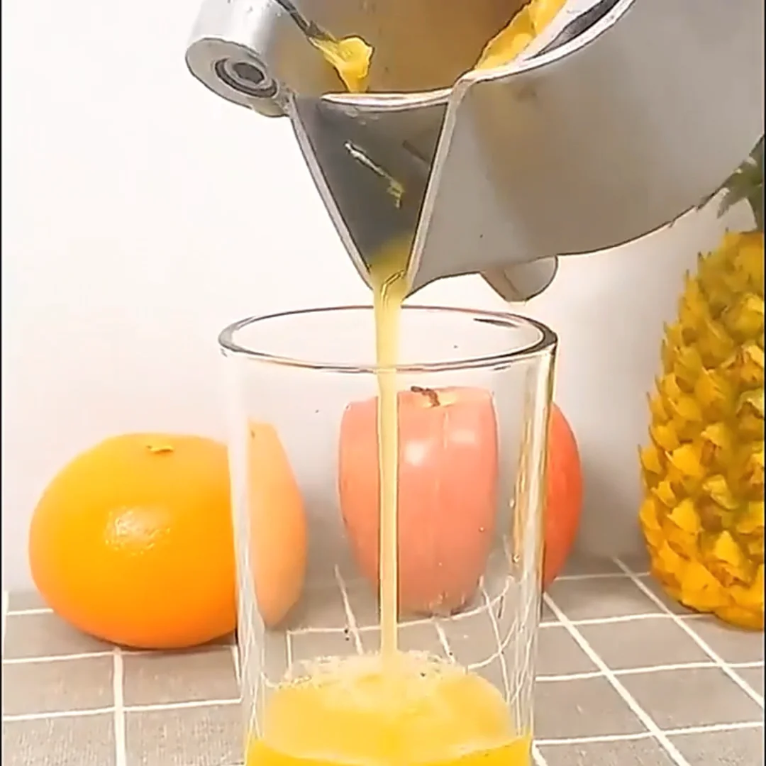 Juicer Extractor Machine Fresh Fruit Organe Juice Slow Manual Blender
