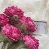 Rosa oscuro