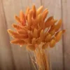 Couleur orange