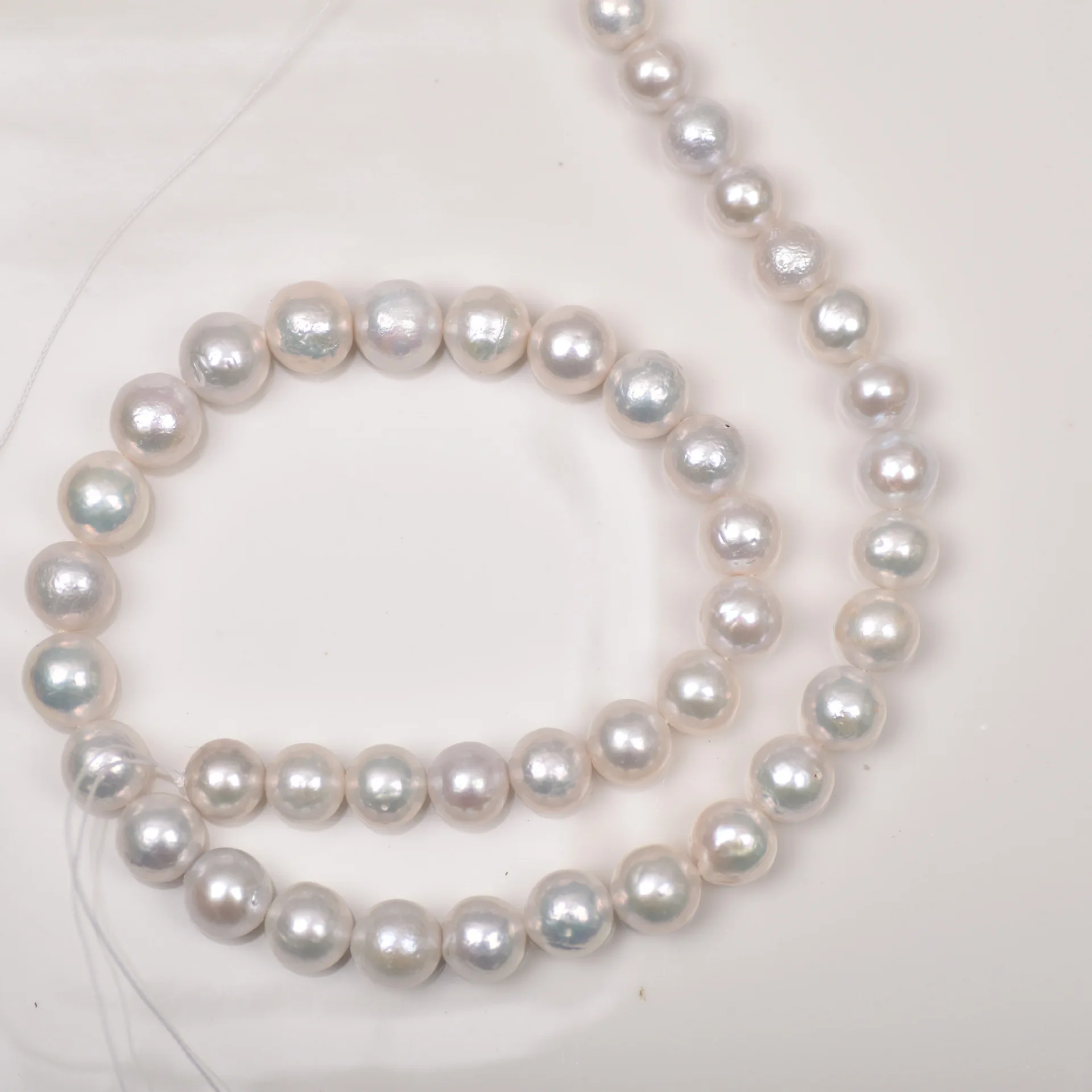 洋書 CULTERED PEARLS Pair of 11mm Loose Pearls from the Sea of Cortez - Perlas