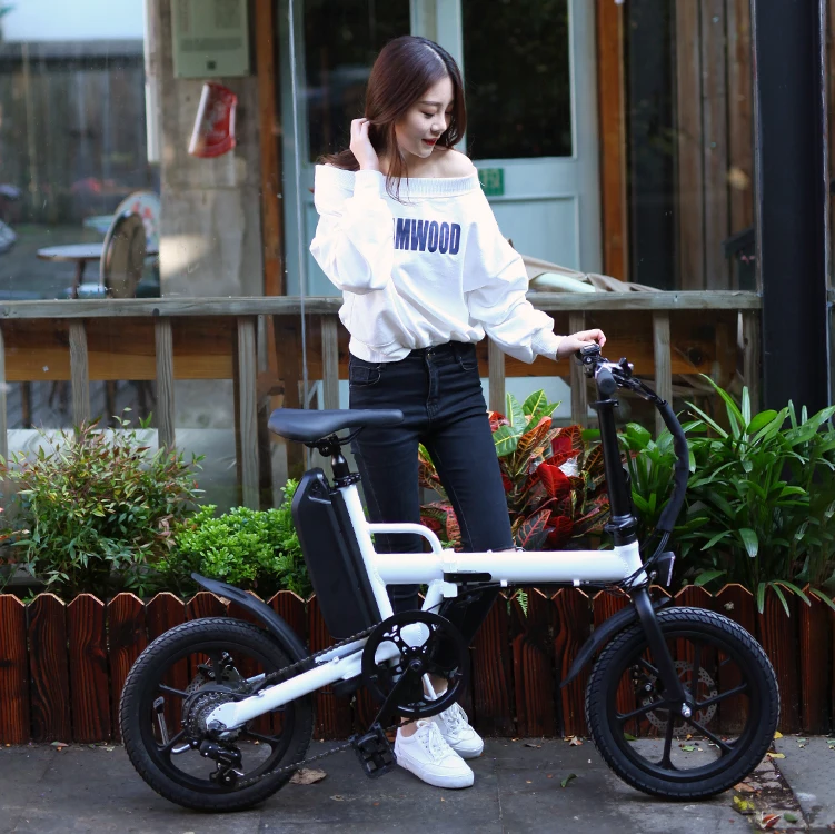 Foldable Electric Bike Brushless 36V 250W hub motor electric bike family bike