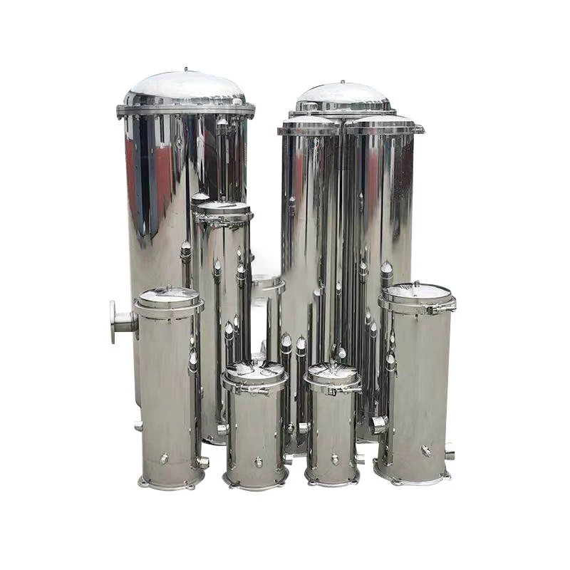 SS304 Carbon Steel Security Industrial Precision Filter Housing For Water Purification