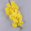 Amarillo