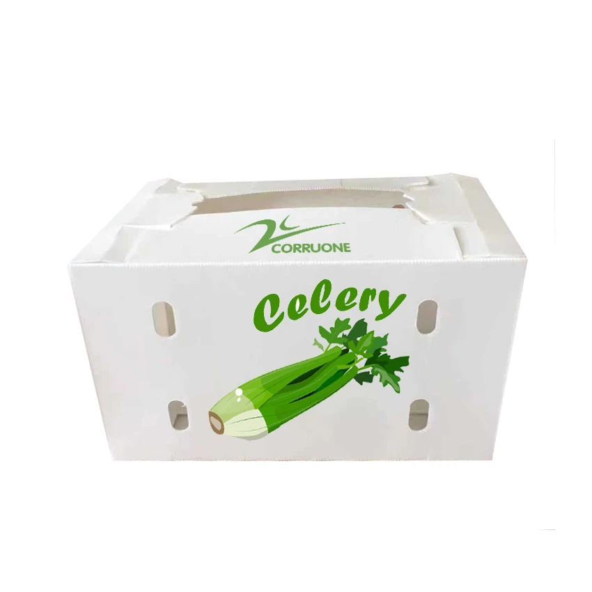 Vegetable Asparagus  Ginger Taro  Okra PP plastic packaging box