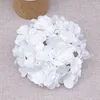 Blanco puro