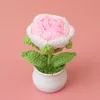 Gradient pink rose potted plants