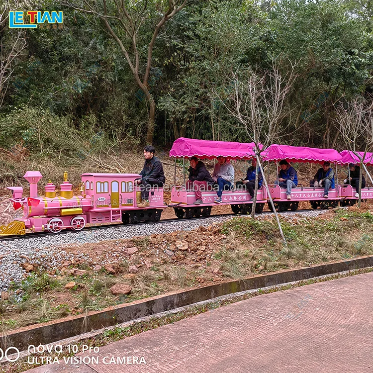 New Theme Park Kids Track Train Outdoor City Park Sightseeing Trains ...