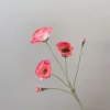 Rouge cerise