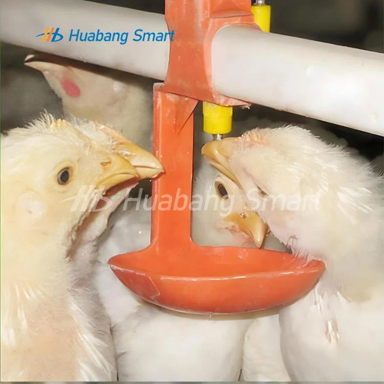 Cheap Price and Fast Shipping Automatic Feeders and Drinkers for Chickens