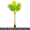 190cm/Single-Pole Banana Tree