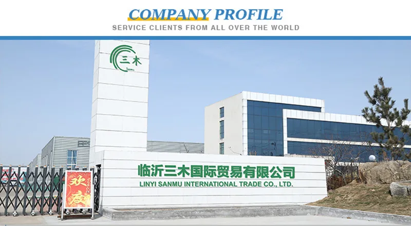 Company Profile.jpg