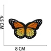 Butterfly 11