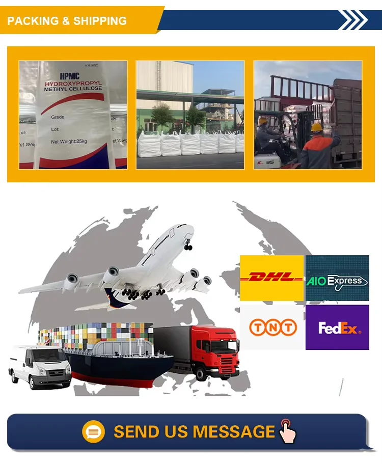 Hydroxypropyl Methyl Cellulose Powder