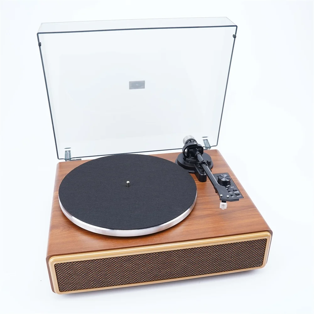 2 Speeds Bluetooth Turntable Vinyl Record Player With Replaceable