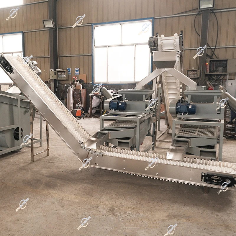 Manufacturer Equipment 300kg 500kg 1000kg Automatic Palm Apricot Kernel Hazelnut Almond Processing Production Line