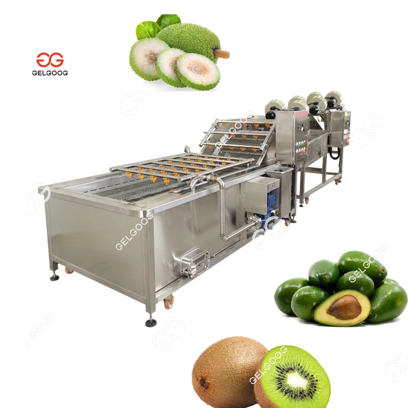 Gelgoog 500Kg/H Avocado Washing and Packing Processing Plant Mandarin Orange Cleaning Sorting Machine for Orange