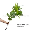 Ficus lyrata grande de tres puntas, estilo 2, 85 cm.
