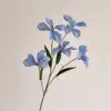 Flame orchid blue