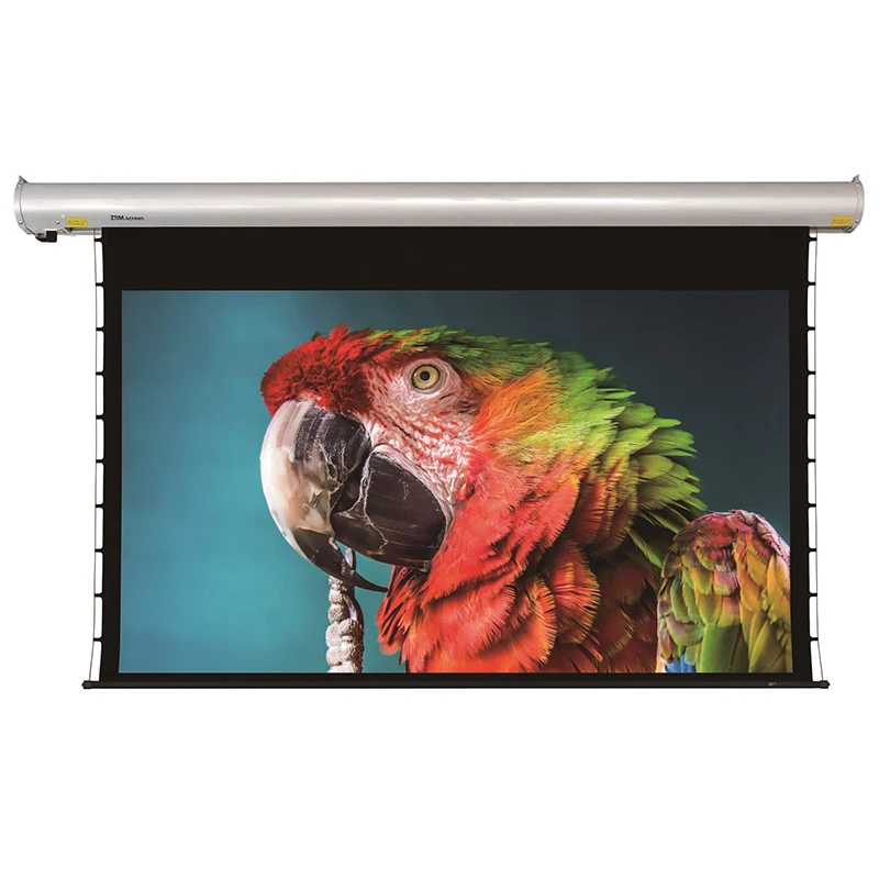 High Quality Electric Projector Screen Motorized Home Cinema MX350 Wall/Ceiling Mounted Projection Screen 90-160 Inch