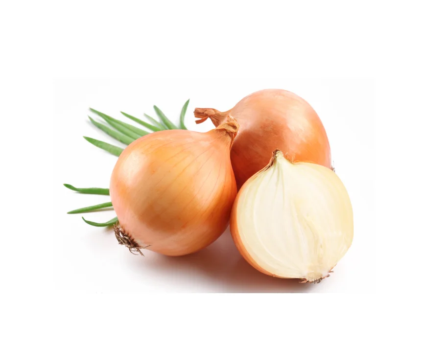 2024 Factory Direct Sale Onion 9-11cm Red Yellow for