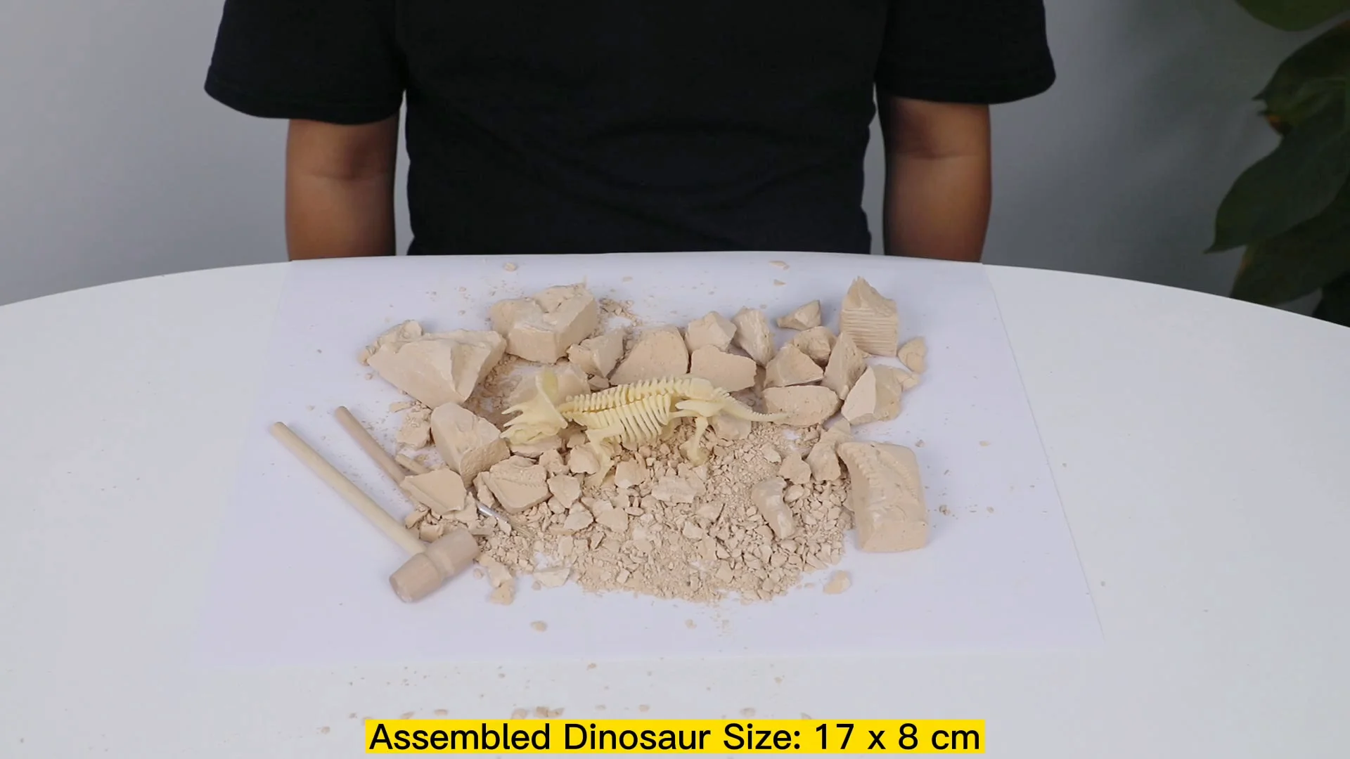 Dinosaur Fossil Excavation Dinosaur Fossil Skeleton Excavation Dig Dino