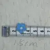 Little blue flower