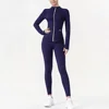 Gold - Navy Blue