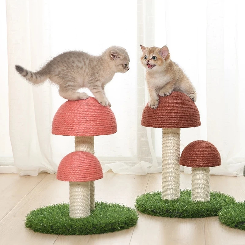mushroom cat bed