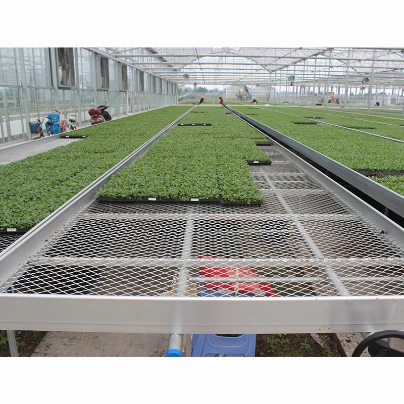 Custom 4x8 Movable Hydroponic Ebb Flow Rolling Bench Grow Rack System Growing Table Seedbed for Various Plant Types for Seeding