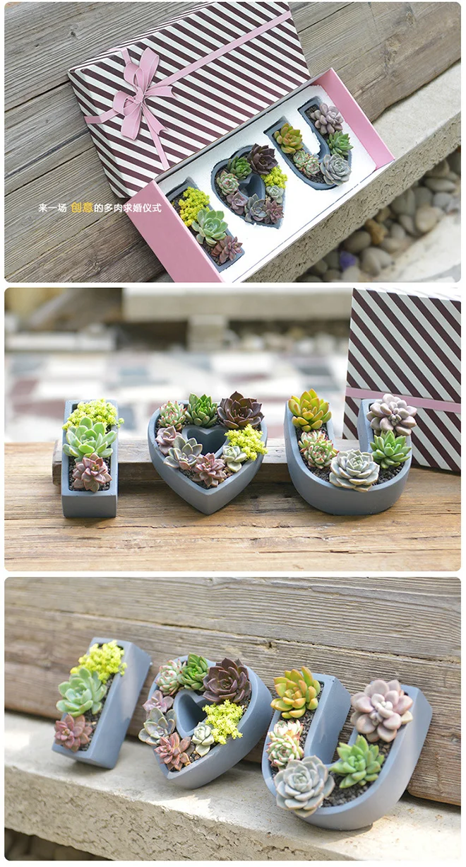 Dropshipping 'Ich Liebe Dich' Beton-Sukkulenten-bertopf Dekorativer  Innen-Blumentopf Zement-Sukkulenten-Kaktus-Topf