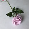 สีม่วง