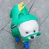 green dinosaur