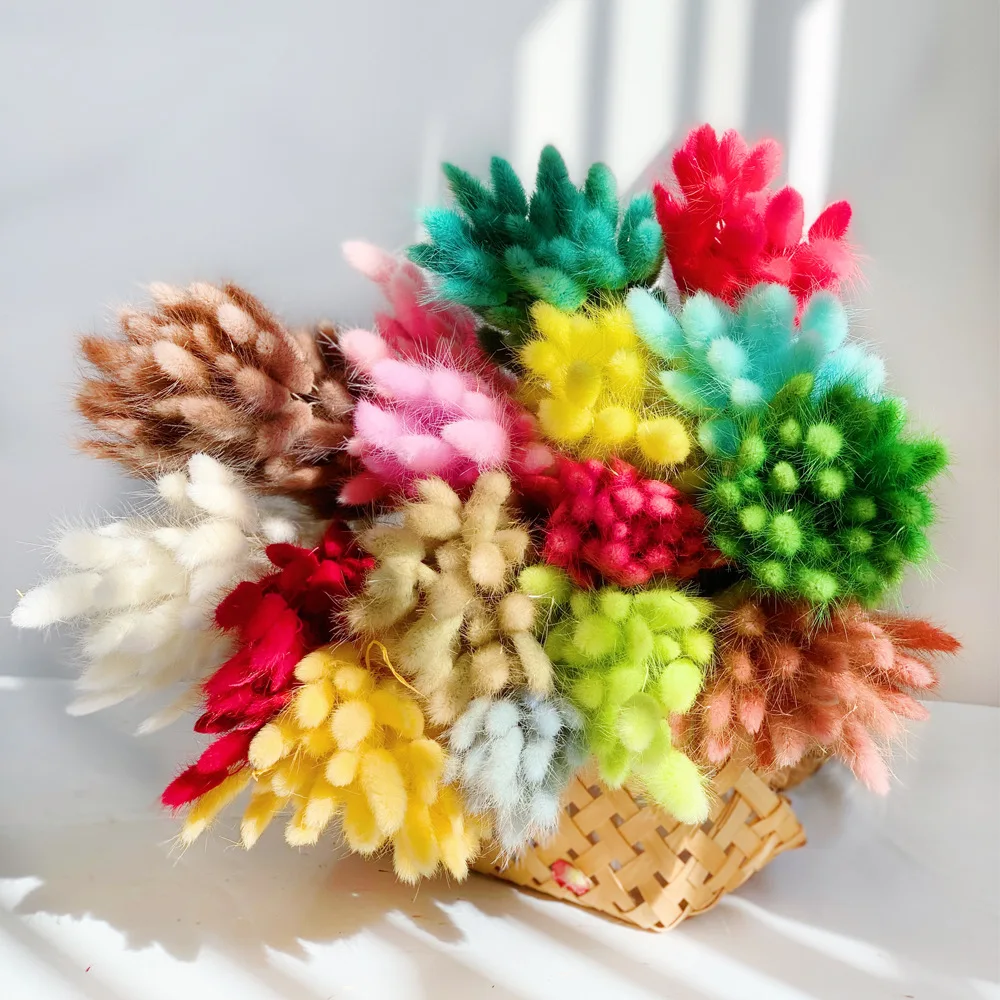 120 Code Di Coniglietto Naturali, Bouquet Di Erba Secca Lagurus