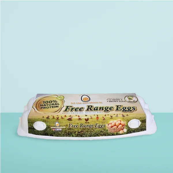 Compostable Labelling Dozen Recycled Paper Pulp Molded Egg Carton