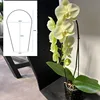 9 black  43cm*22cm) Diameter 3mm