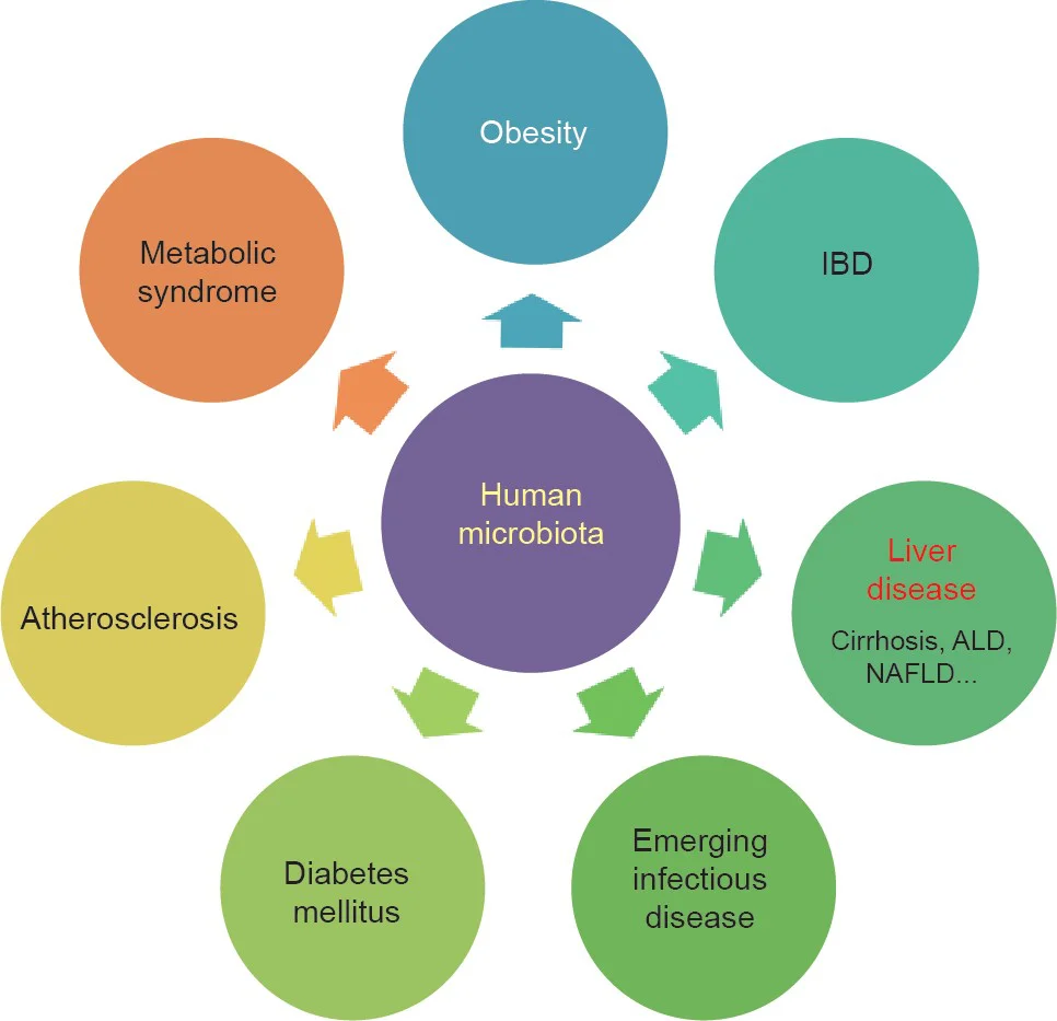 
Производитель ODM & OEM, натуральный пробиотик, жевательный планшет для детей, пищевая добавка, частная торговая марка, продукт для ухода за кишечником 