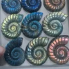 labradorite Snail20-30g/pc
