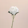 สีขาว