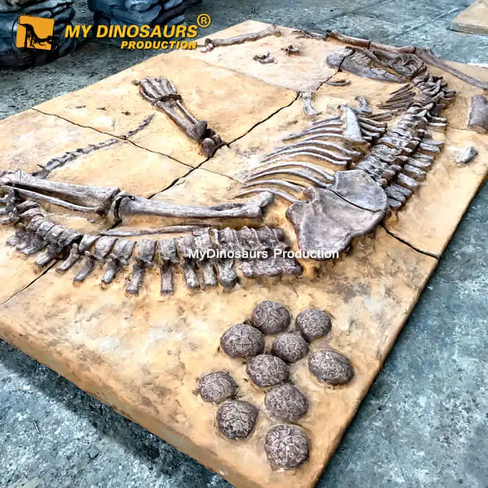 V Replicas Dinosaur Fossils for Excavation Site