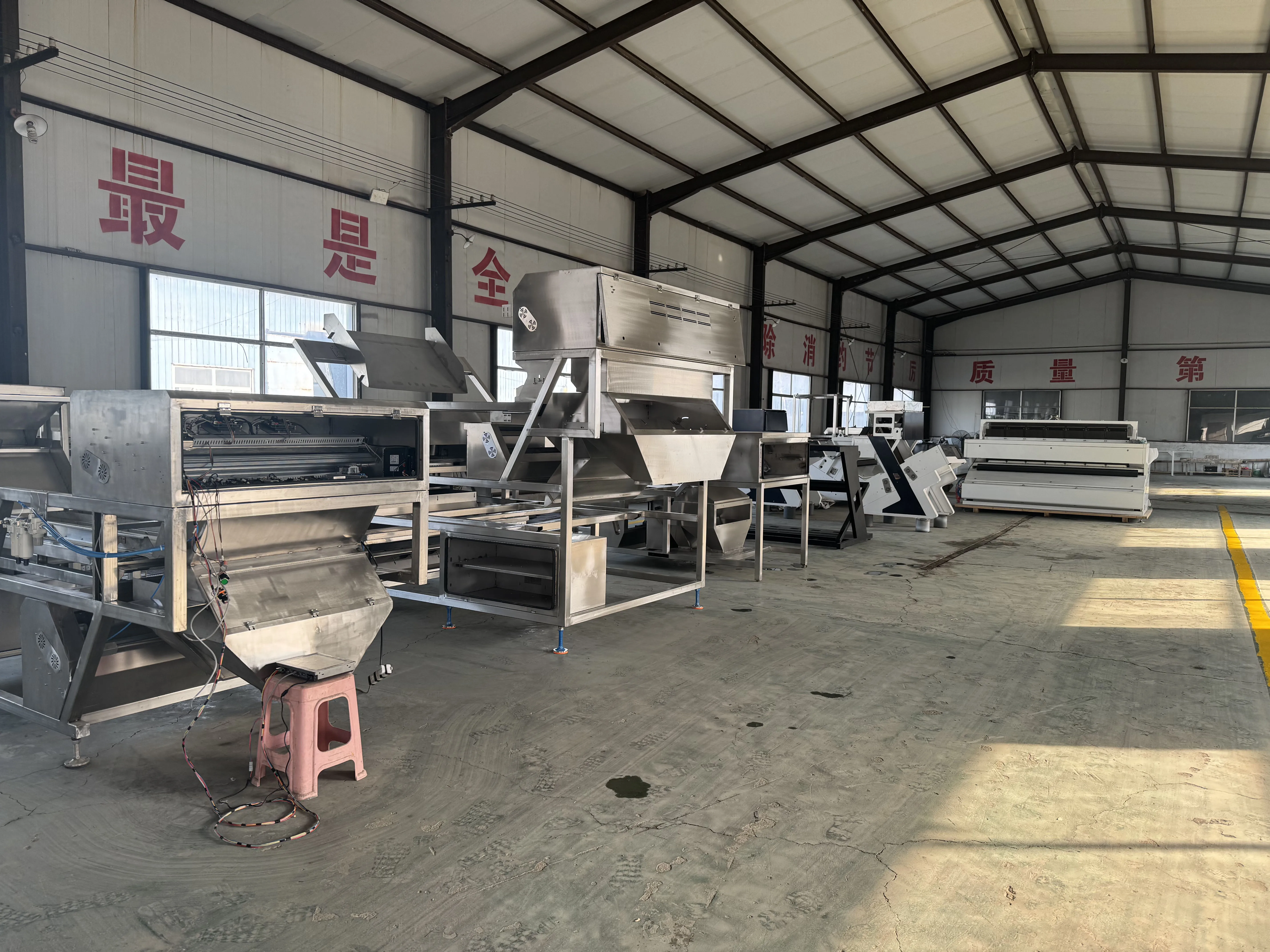Coffee Bean Colour Sorter  Cooked  Nut Processing Price Machinery Raw Coffee Fruit Sorting Machine