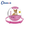 Pink Cat