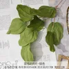 FS-9 bread leaves-green