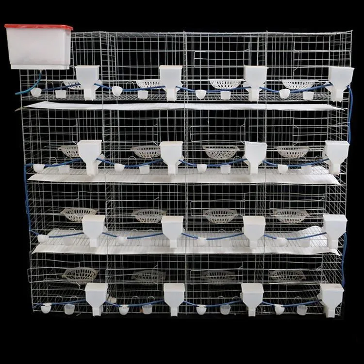 Pigeon Aviary Pigeon Bird Breeding Home Cages Racing Pigeon Lofts For